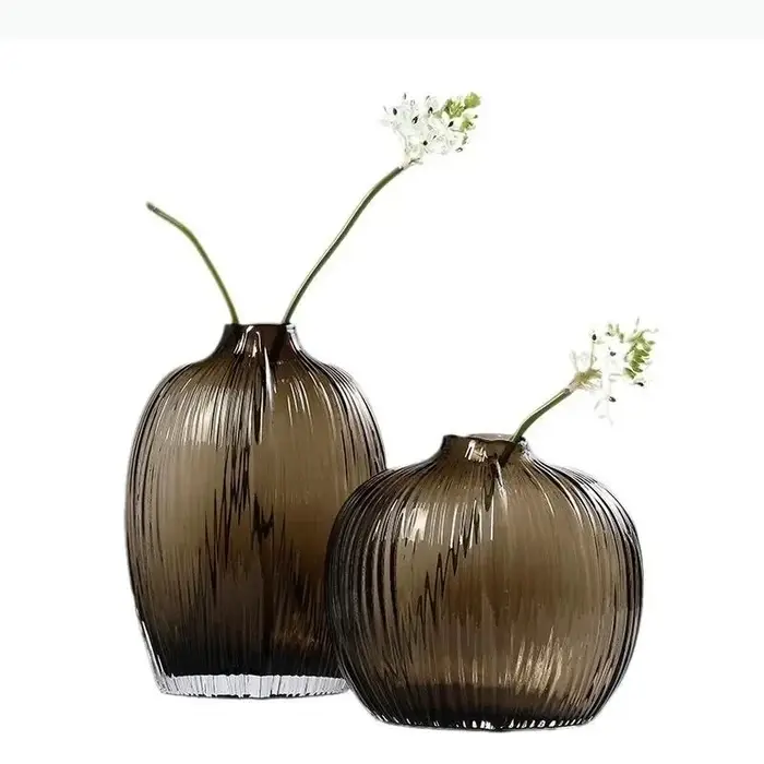 Vase en verre hydroponique transparent