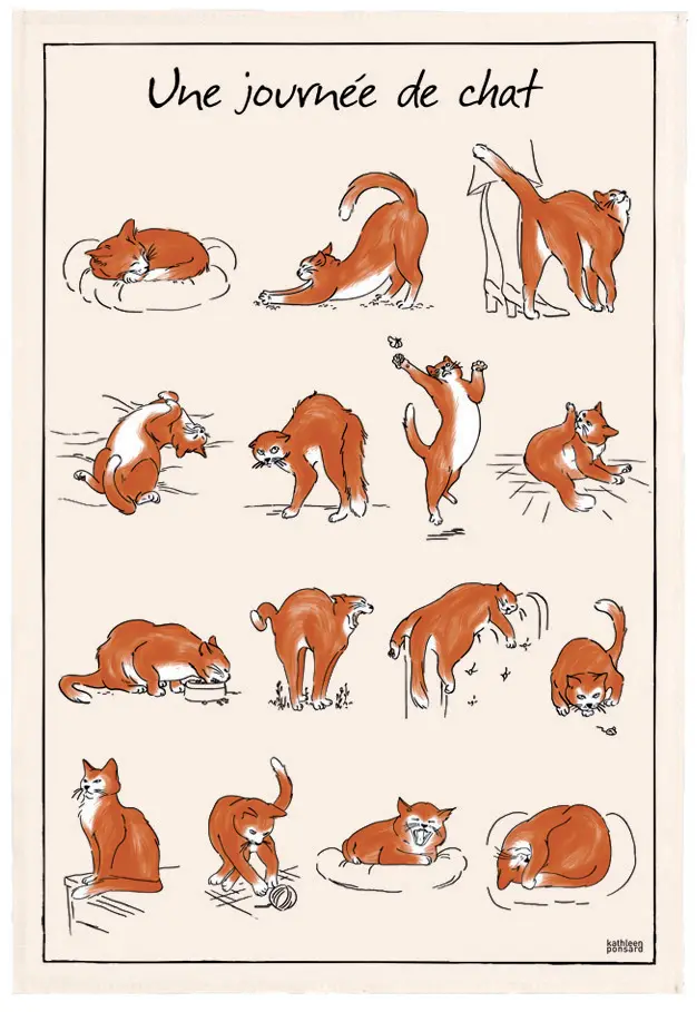 Torchon Imprime Journe de Chat Ecru 48 X 72