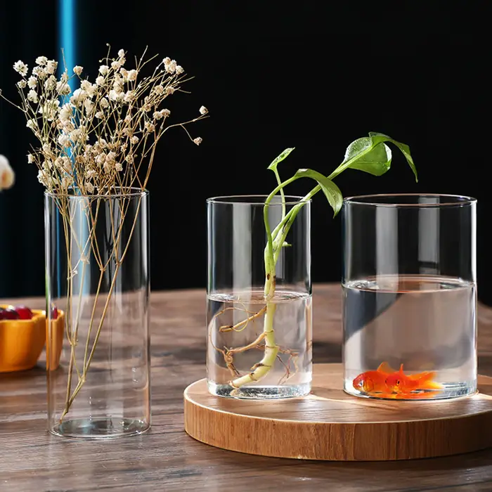 Vase hydroponique en verre simpliste