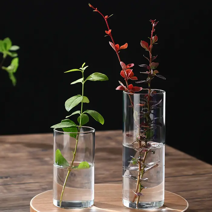 Vases cylindriques en verre