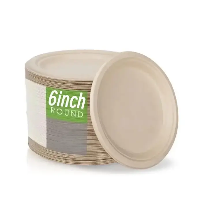 Assiettes en papier jetables 9/7/6 pouces, pour fête, assiette compostable 100%, assiette en papier