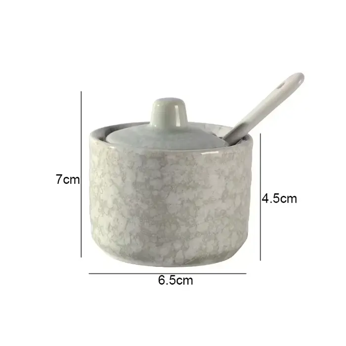 Pots d'assaisonnement en céramique rétro, salière et poivrière, outils à épices de cuisine, organisa