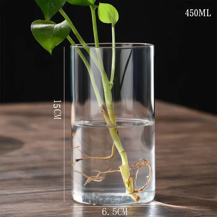 Vase hydroponique en verre simpliste