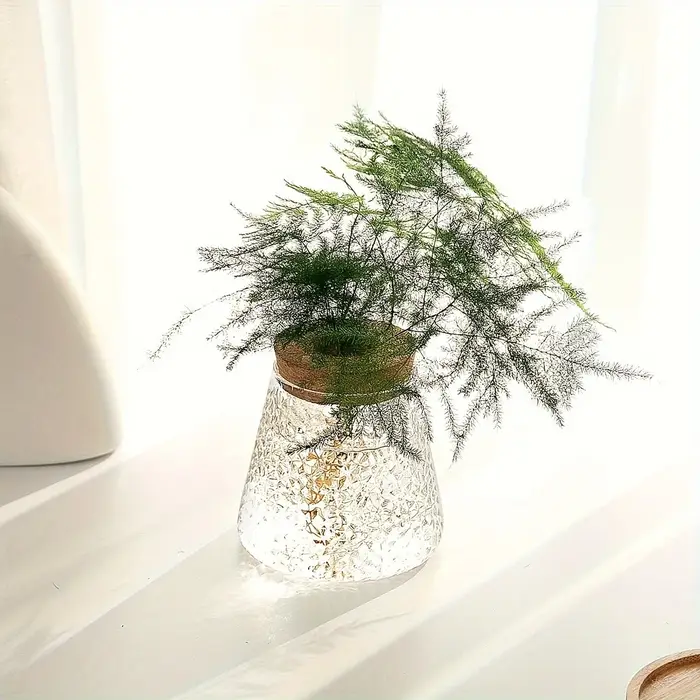 Station de propagation avec vases en verre – Support pour plantes de table pour coupures hydroponiques