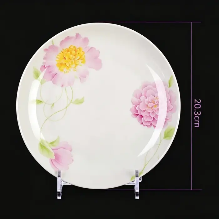 Assiettes de cuisine en porcelaine fine de 8 pouces
