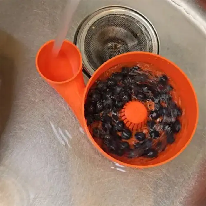 Lave-légumes Portable, bol de lavage de fruits