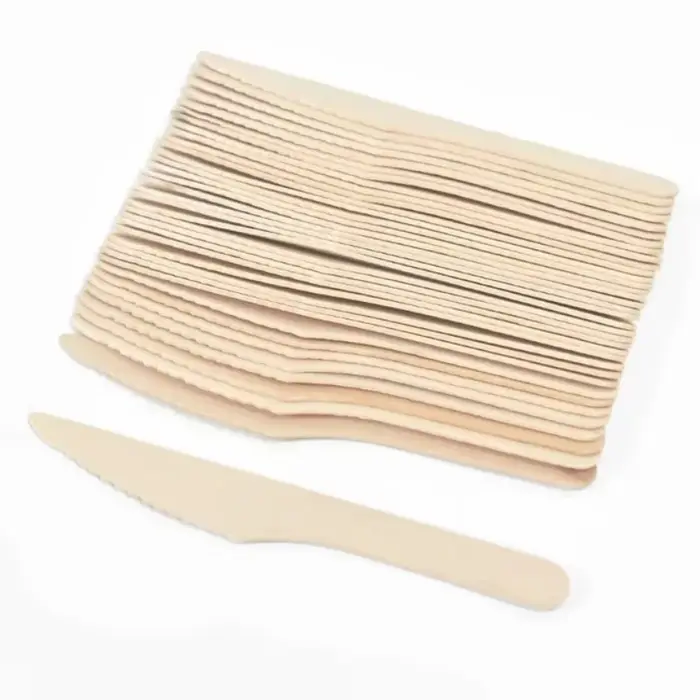 Lot de 50/100 couverts jetables en bois pour gâteaux et glaces – Cuillères