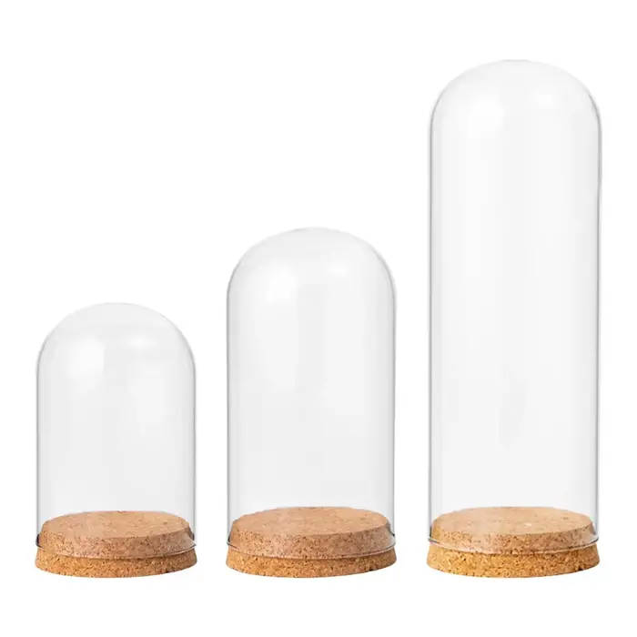 Dôme d'affichage cloche en verre avec Base en bois