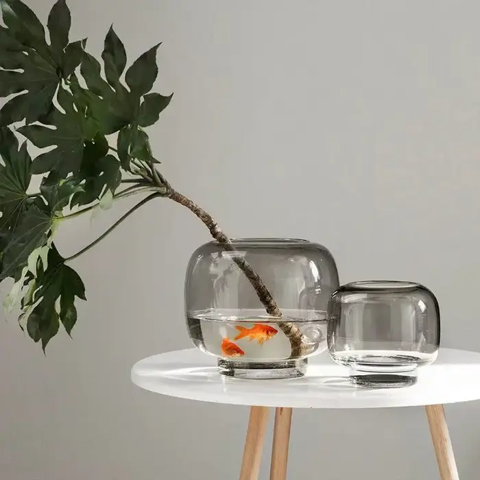 Vase en verre Transparent avec conception circulaire à grande bouche