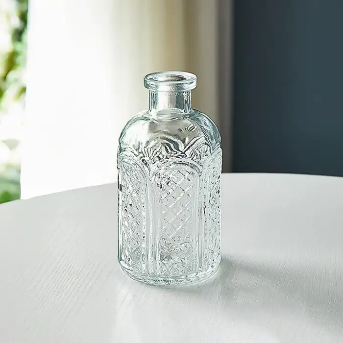 Vase en verre vintage en relief pour plantes hydroponiques transparentes
