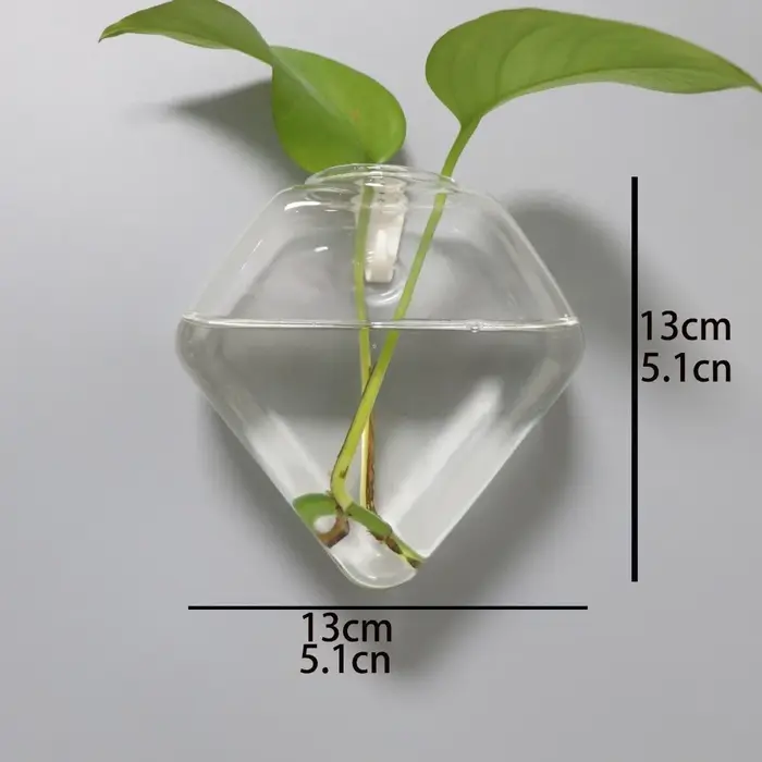 Vase hydroponique de forme irrégulière