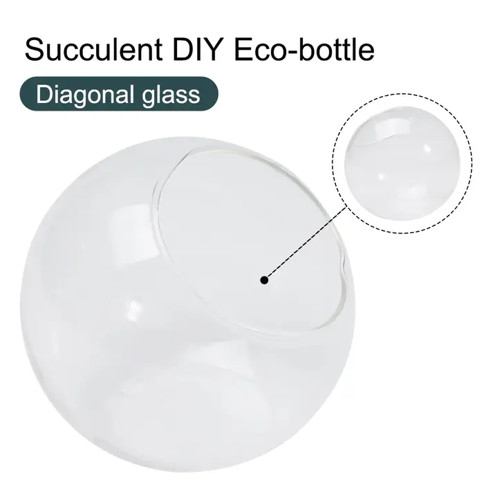 Récipient de terrarium pour micro invité
