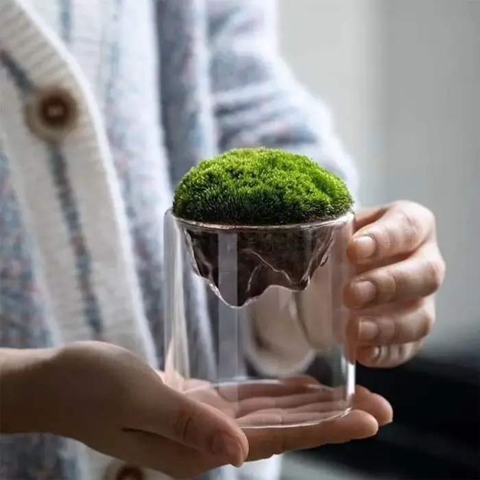 Bouteille de Mousse en Verre Épais