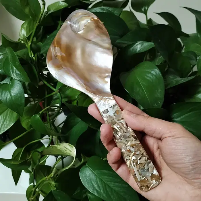 Cuillère à riz en nacre