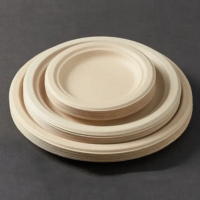Assiettes en papier au poulet