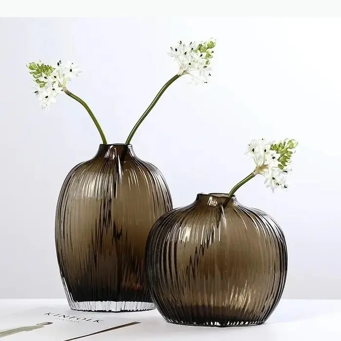 Vase en verre hydroponique transparent