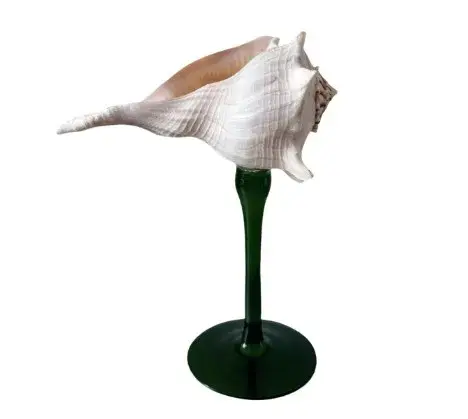 Verre à vin en forme de coquille de conque, design de niche, décoration cadeau