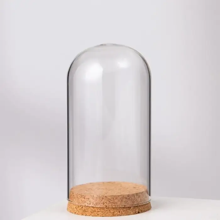 Dôme d'affichage cloche en verre avec Base en bois