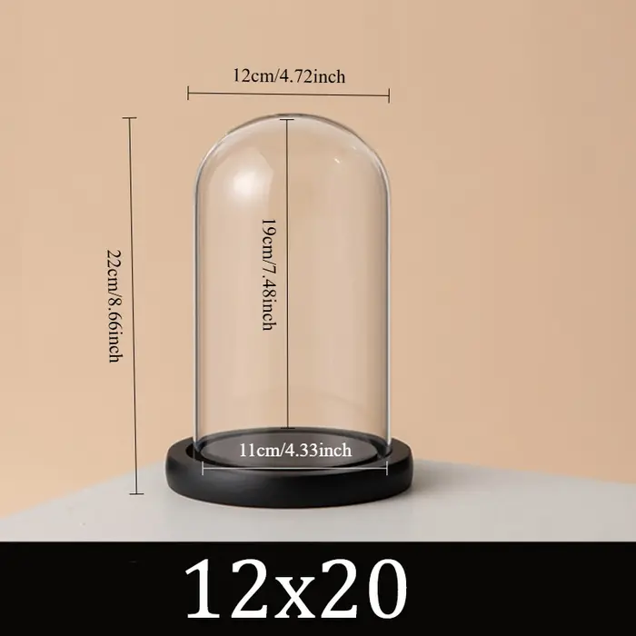 Cloche en verre avec Base en bois noir