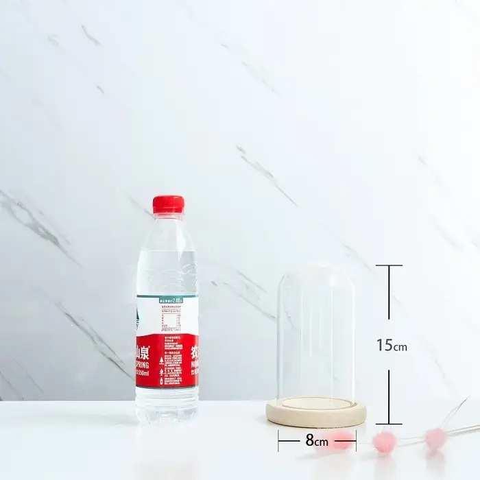 Boîte de présentation en verre avec couvercle en verre à fleurs