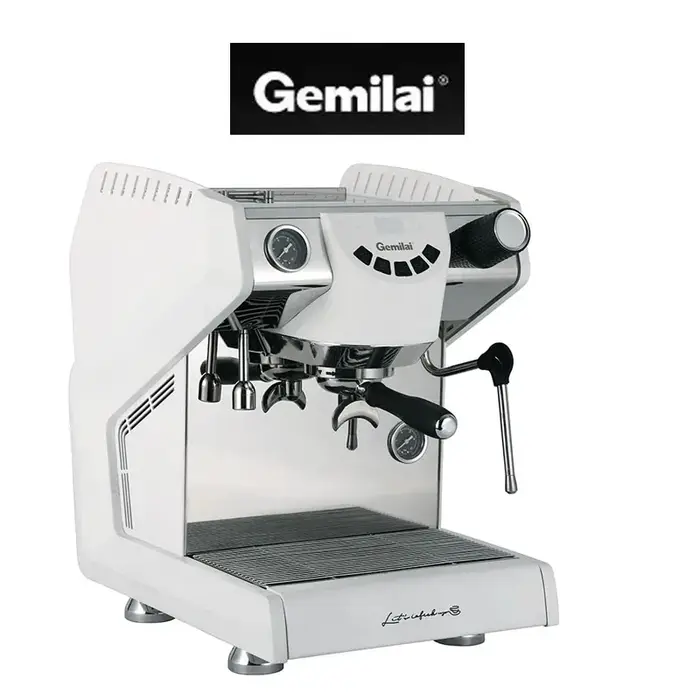 Machine à expresso italienne haut de gamme à double chaudière avec système d'extraction commerciale 58Pro pour usage domestique et commercial