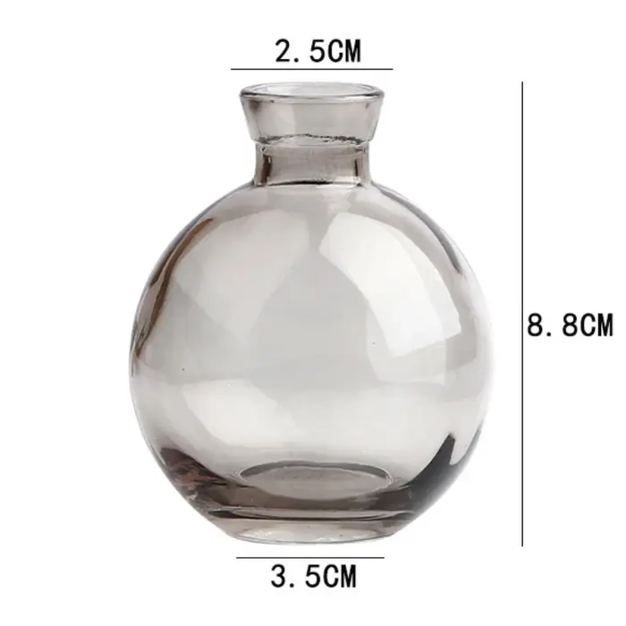 Mini vase à fleurs en verre transparent, bouteille de plantes hydroponiques, pot de fleurs simple, b