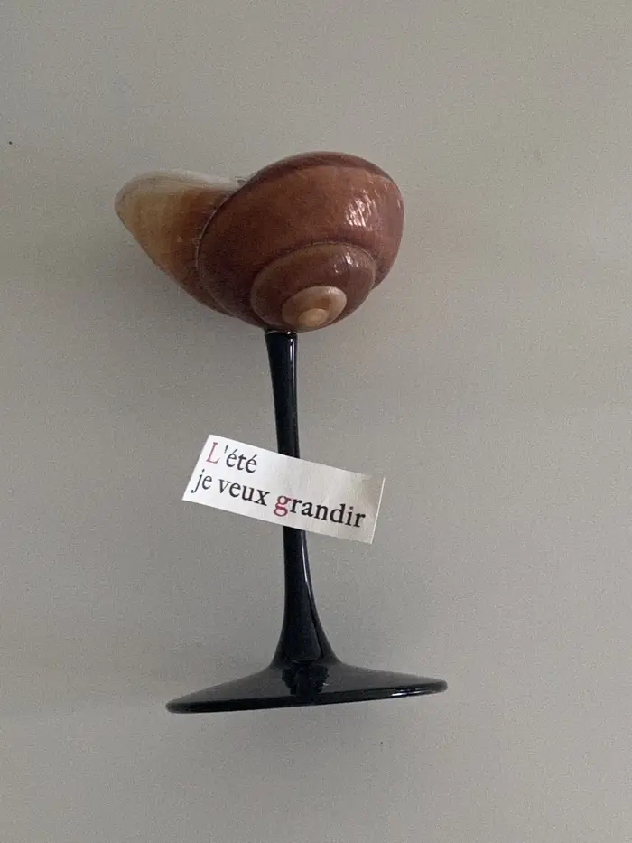 Verre à vin à tige haute conque artistique, Design de coquillage élégant, verres de luxe tendance po