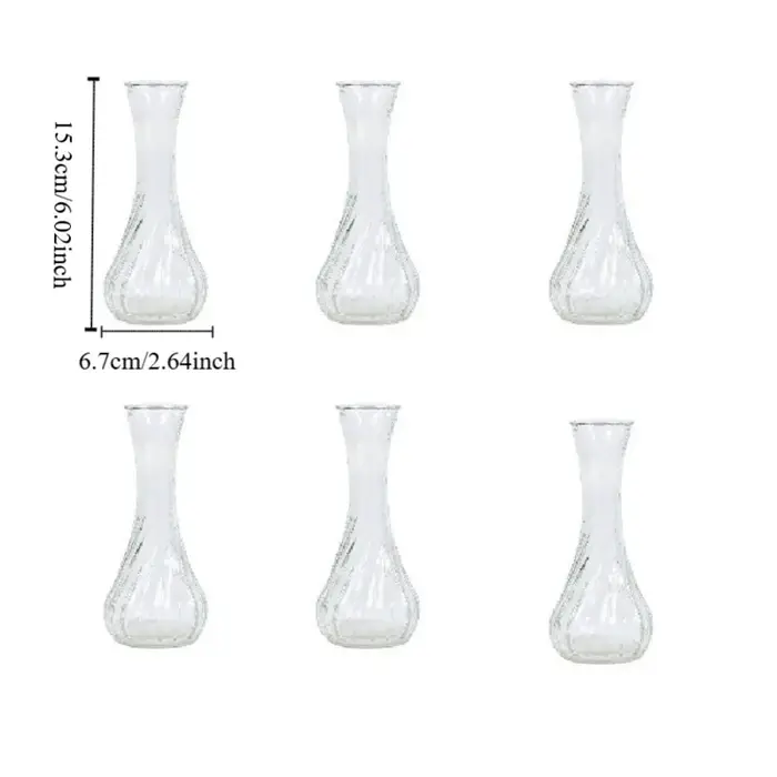 Lot de 6 mini-vases en verre transparents pour décoration de table