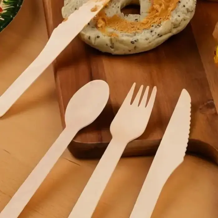 Lot de 50/100 couverts jetables en bois pour gâteaux et glaces – Cuillères