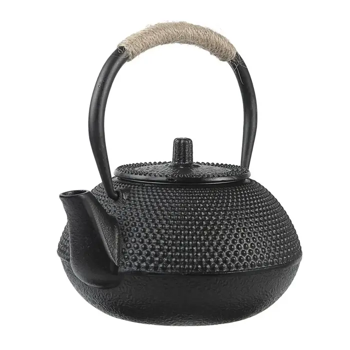 Théière Antique en fonte faite à la main de 300/650ML