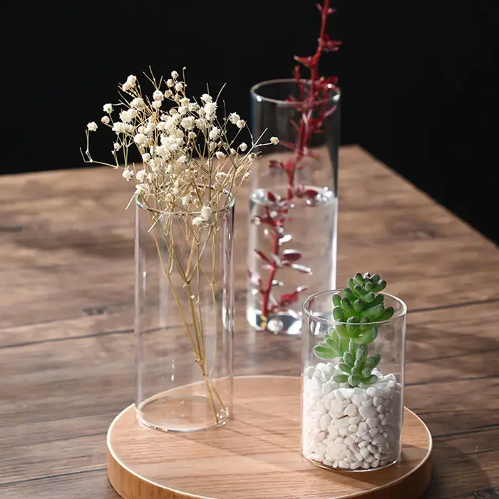 Vase hydroponique en verre simpliste