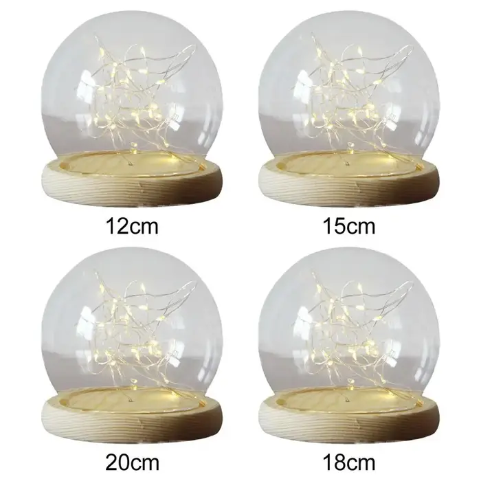 Cloche en forme de dôme en verre transparent avec Base en bois, vitrine Mini pour plantes
