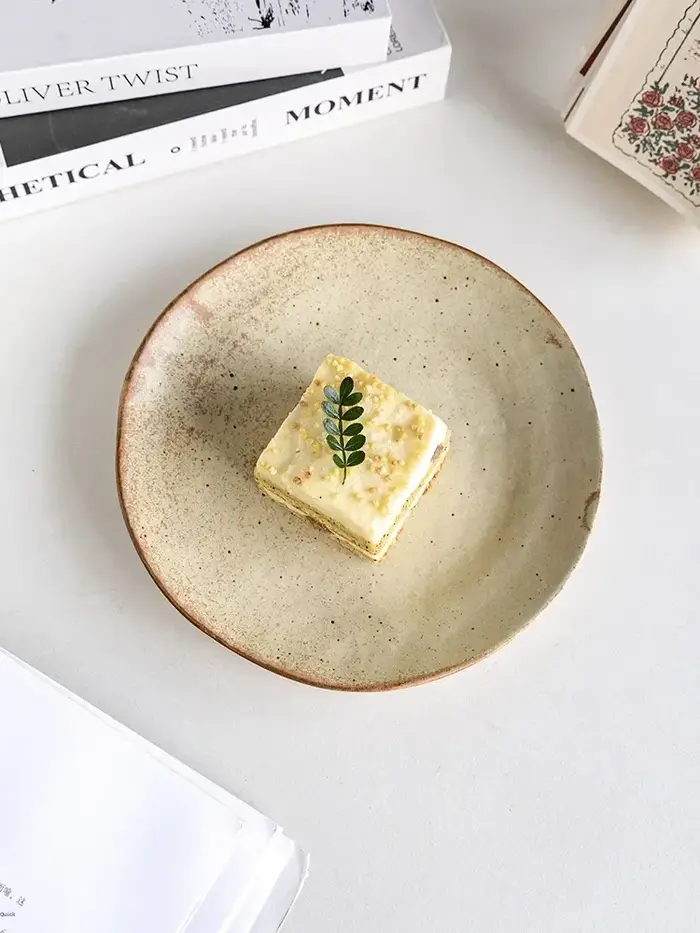 Assiette en céramique rustique faite à la main de style japonais pour pâtes