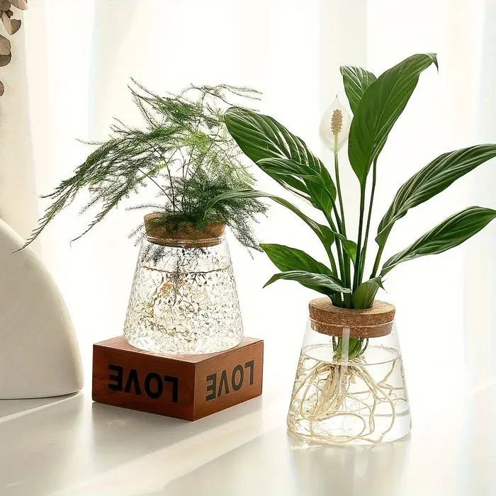 Station de propagation avec vases en verre – Support pour plantes de table pour coupures hydroponiques