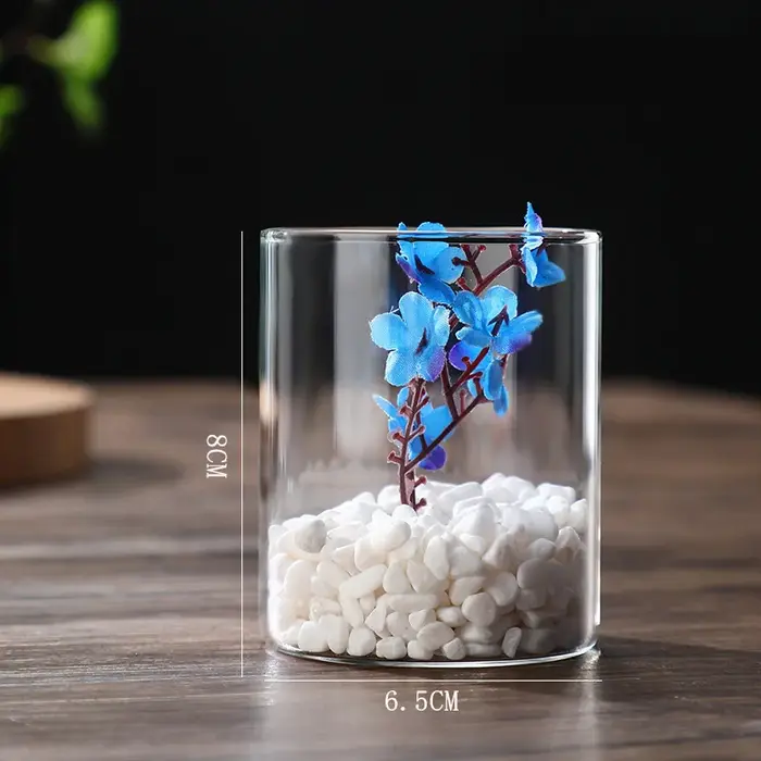 Vases cylindriques en verre, Vase hydroponique en verre Transparent, bougeoirs, Vase à fleurs Transp