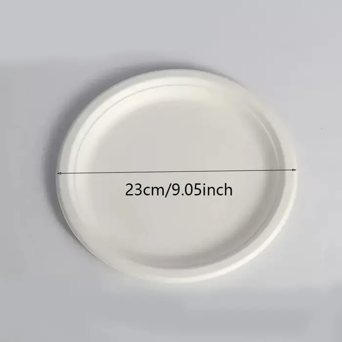 Assiettes jetables blanches