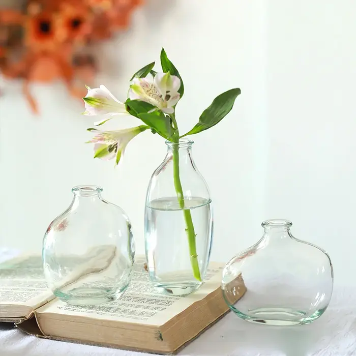 Vase à fleurs en verre transparent irrégulier