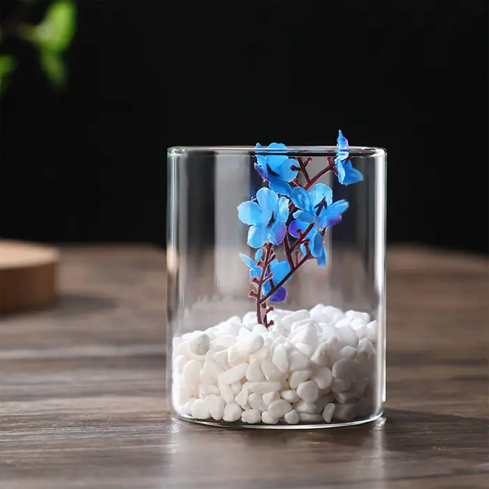 Vase hydroponique en verre simpliste