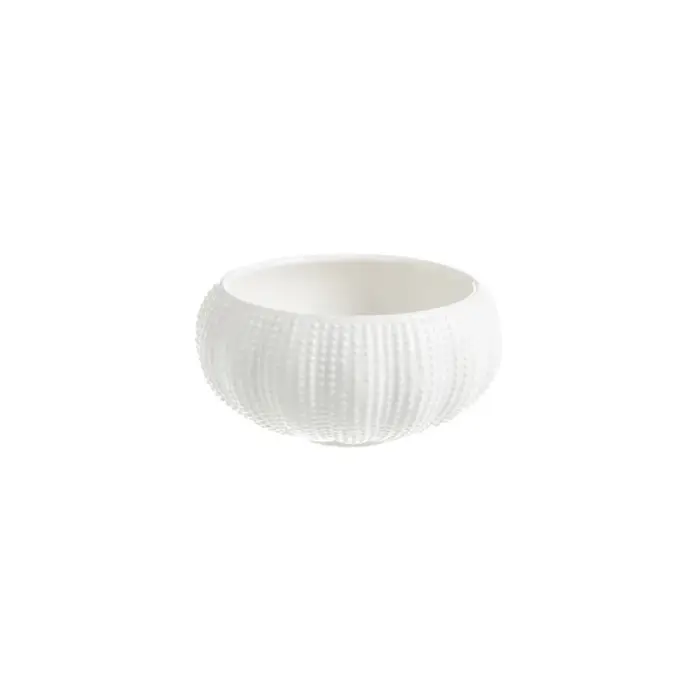 Assiette à huîtres en céramique