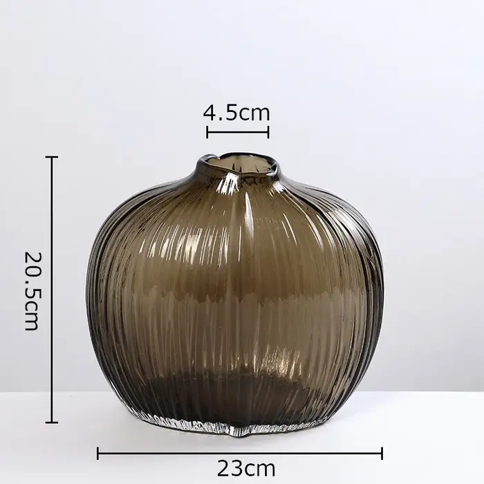 Vase en verre hydroponique transparent, pots à fleurs, décoration de bureau, arrangement floral, vas