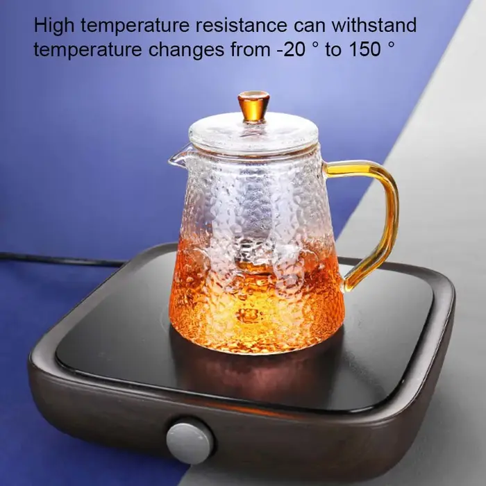 Théière Japonaise en Verre Borosilicate avec Infuseur