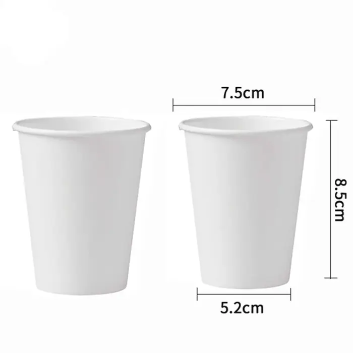 Assiettes en papier jetables