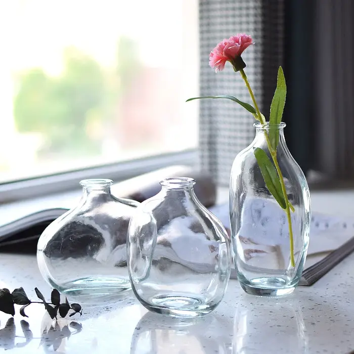 Vase à fleurs en verre transparent irrégulier