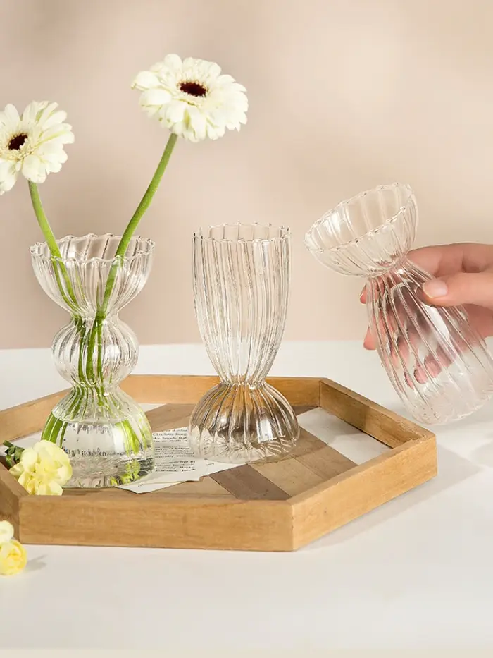 Vase Transparent moderne décor à la maison