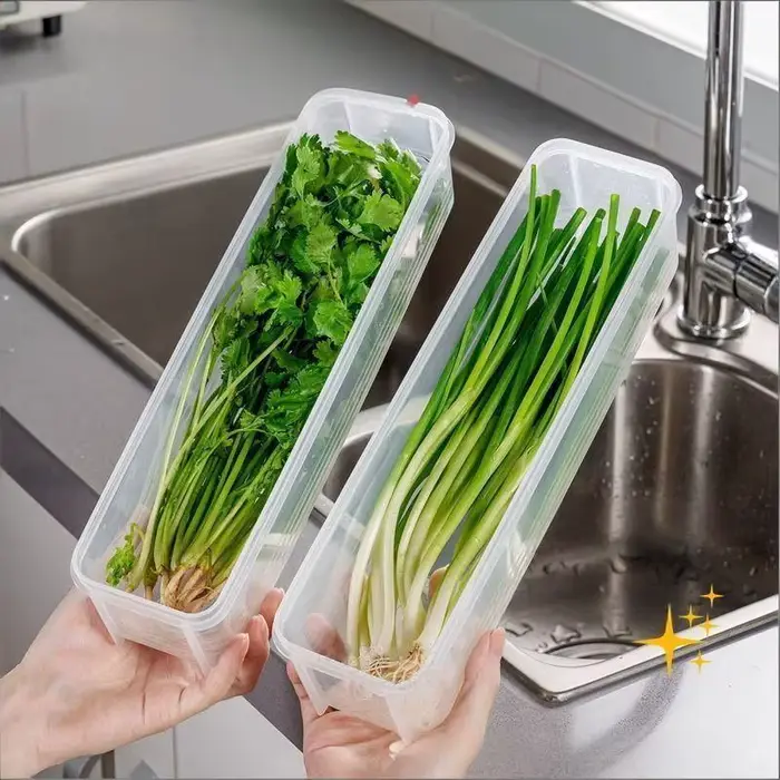 Boîte de Rangement Hermétique pour Aliments Frais
