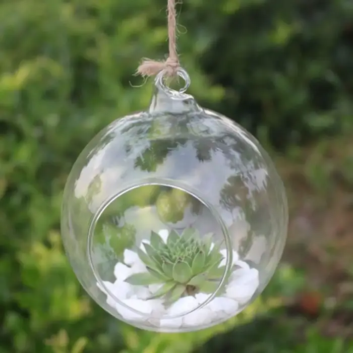Vases en verre suspendus transparents