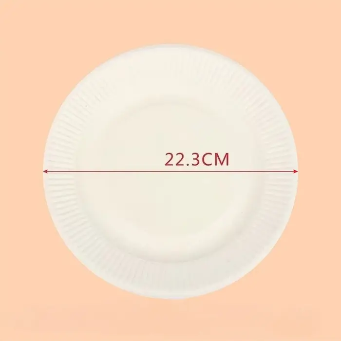 Assiettes en papier jetables