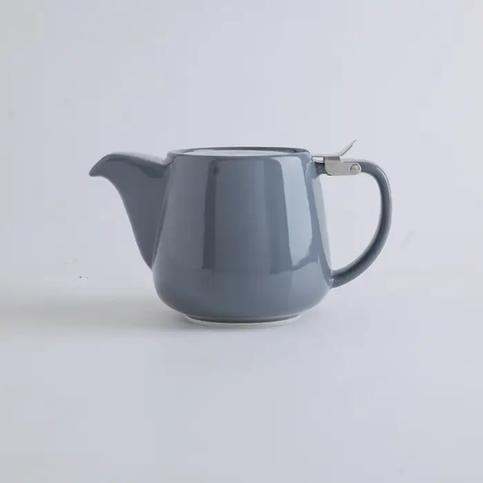 Théière en céramique japonaise avec filtre en acier inoxydable