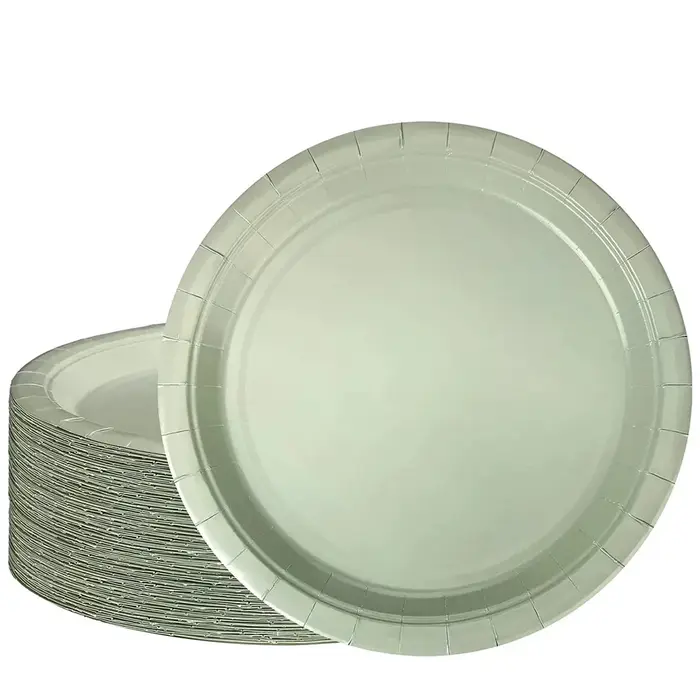 Assiette de couleur unie vert sauge