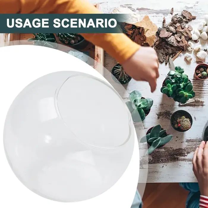 Récipient de terrarium pour micro invité